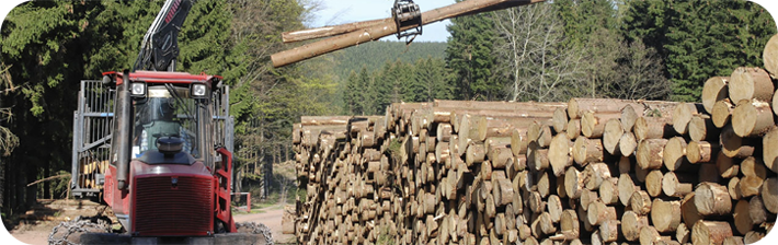 Lumber & Wood
